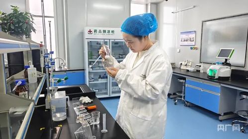 阜康雙輪驅動 科技創(chuàng)新引領綠色產(chǎn)業(yè)升級與網(wǎng)絡技術服務發(fā)展
